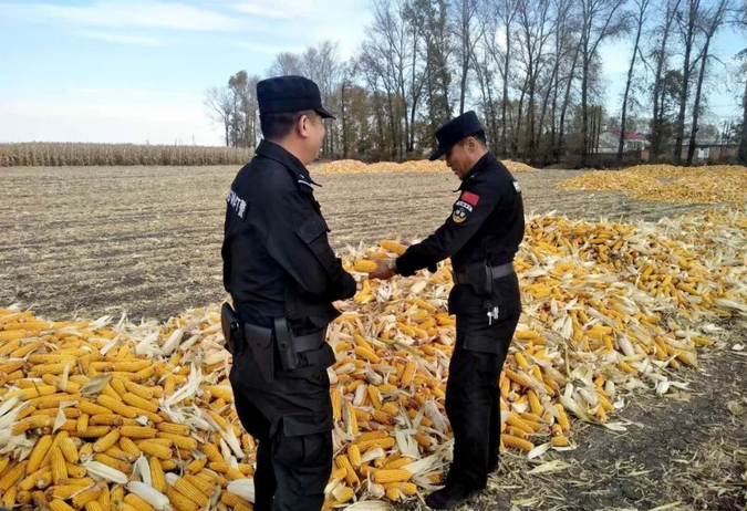 禁燒秸稈走田間、共鑄警魂保藍(lán)天